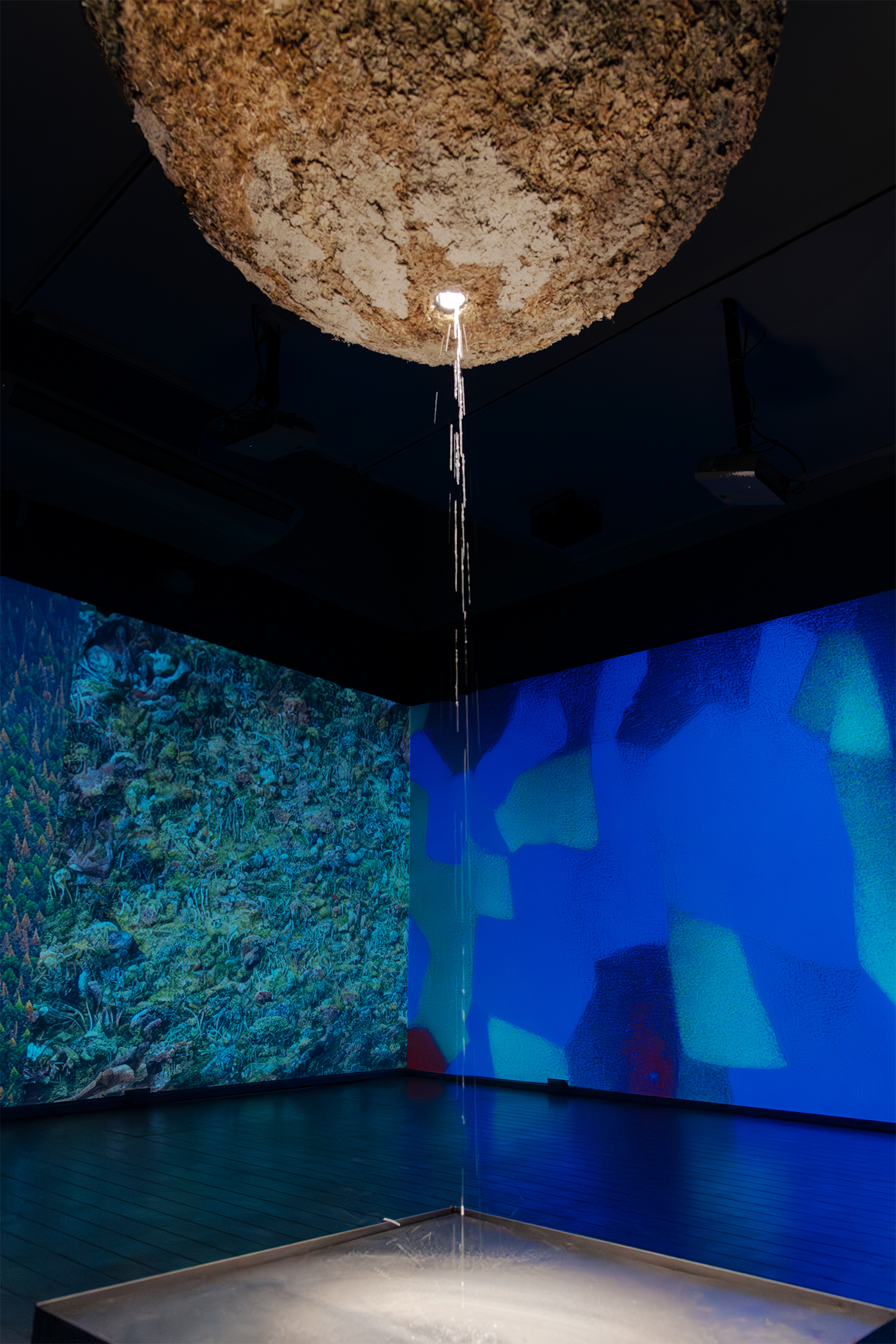 2024.03-VA-Ecologias-Hibridas-La-Moneda-MG-CH-5